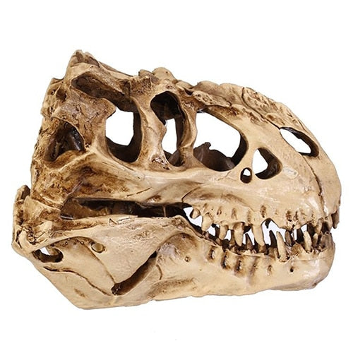 Ancient T-Rex Skull - Fossil Decoration